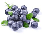 BLUEBERRY Image